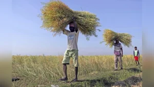 APEDA new regional offices