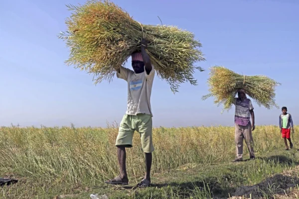 APEDA new regional offices