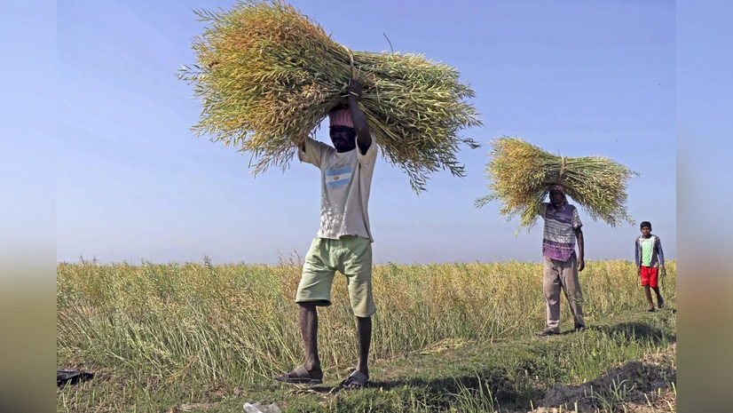 APEDA new regional offices