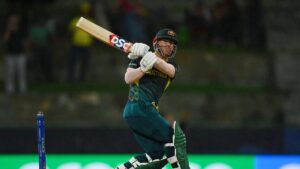 David Warner T20 runs