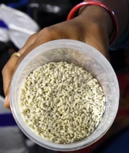 Fortified Rice Scheme 2028 Extended