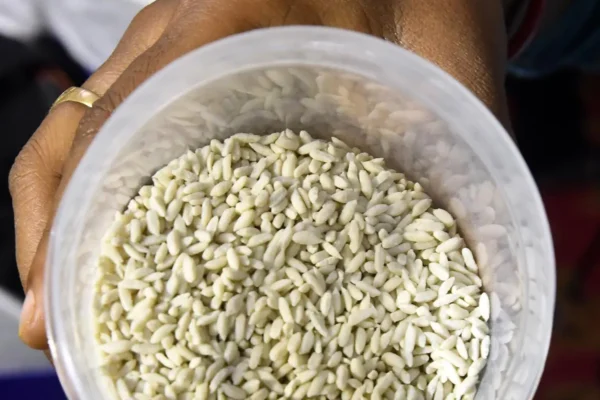 Fortified Rice Scheme 2028 Extended