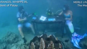 Palau Underwater Interview