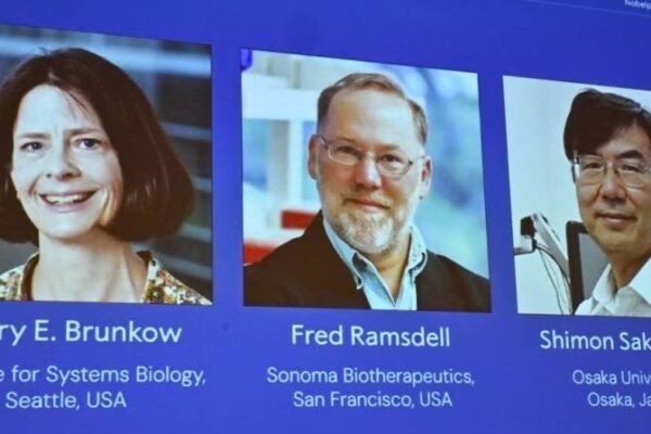 2025 Nobel Prize in Medicine