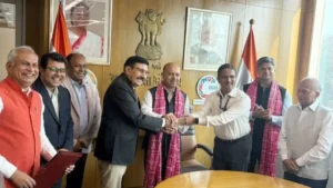 Potato value chain India