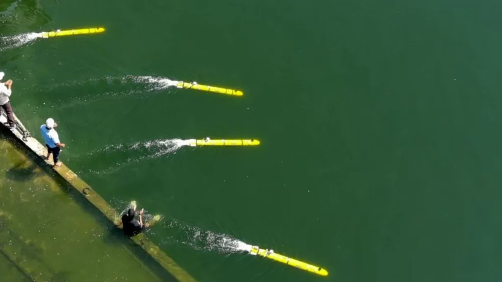 Man-Portable Autonomous Underwater Vehicles