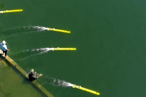 Man-Portable Autonomous Underwater Vehicles