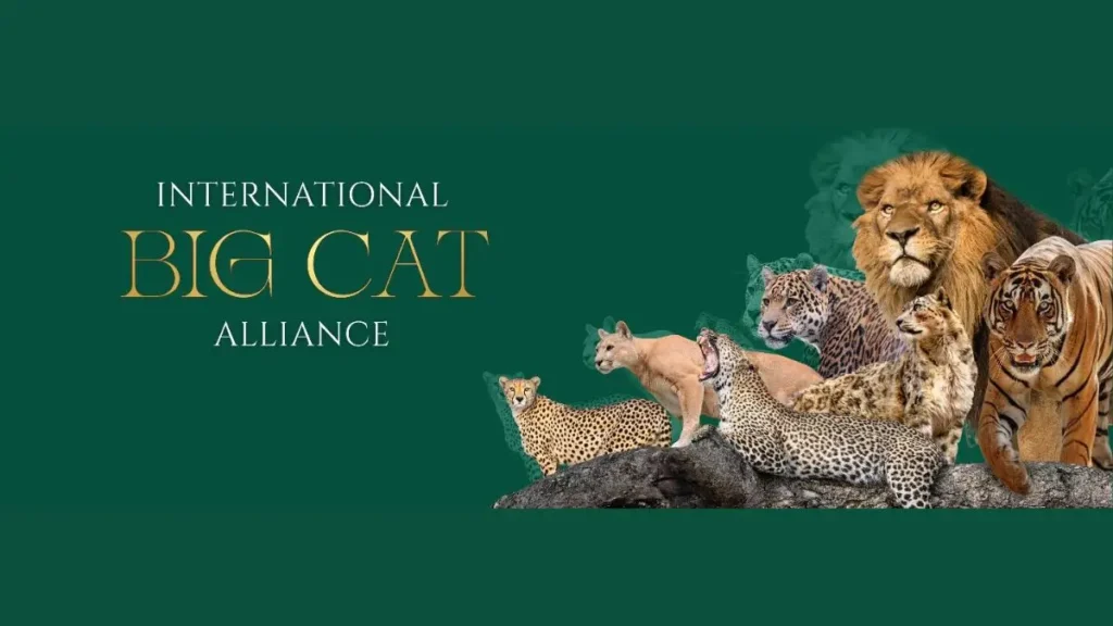 global big cats summit 2026