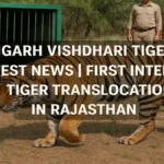 inter-state tiger translocation Rajasthan