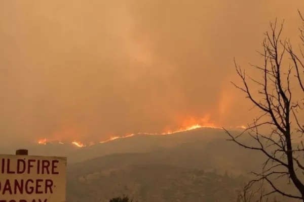 India wildfire management UNEA