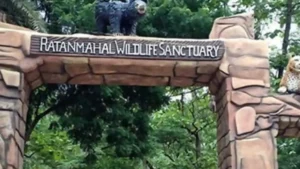 Gujarat Becomes Tiger State 2025