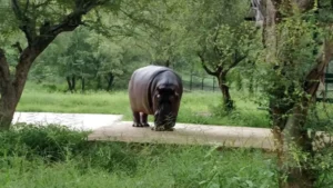 Alwar Biological Park