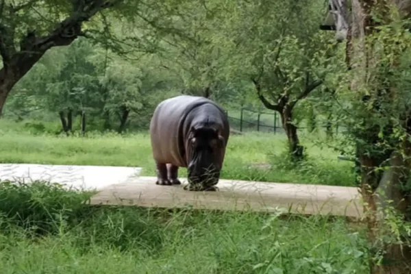 Alwar Biological Park