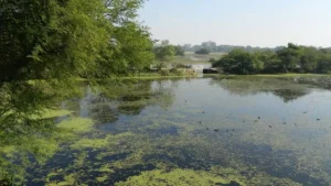 Parvati‑Arga Bird Sanctuary ESZ