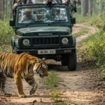 Kumbhalgarh Wildlife Sanctuary