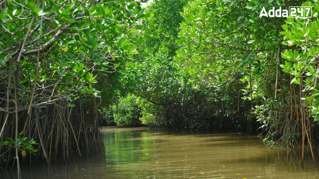 Ramsar Sites in India