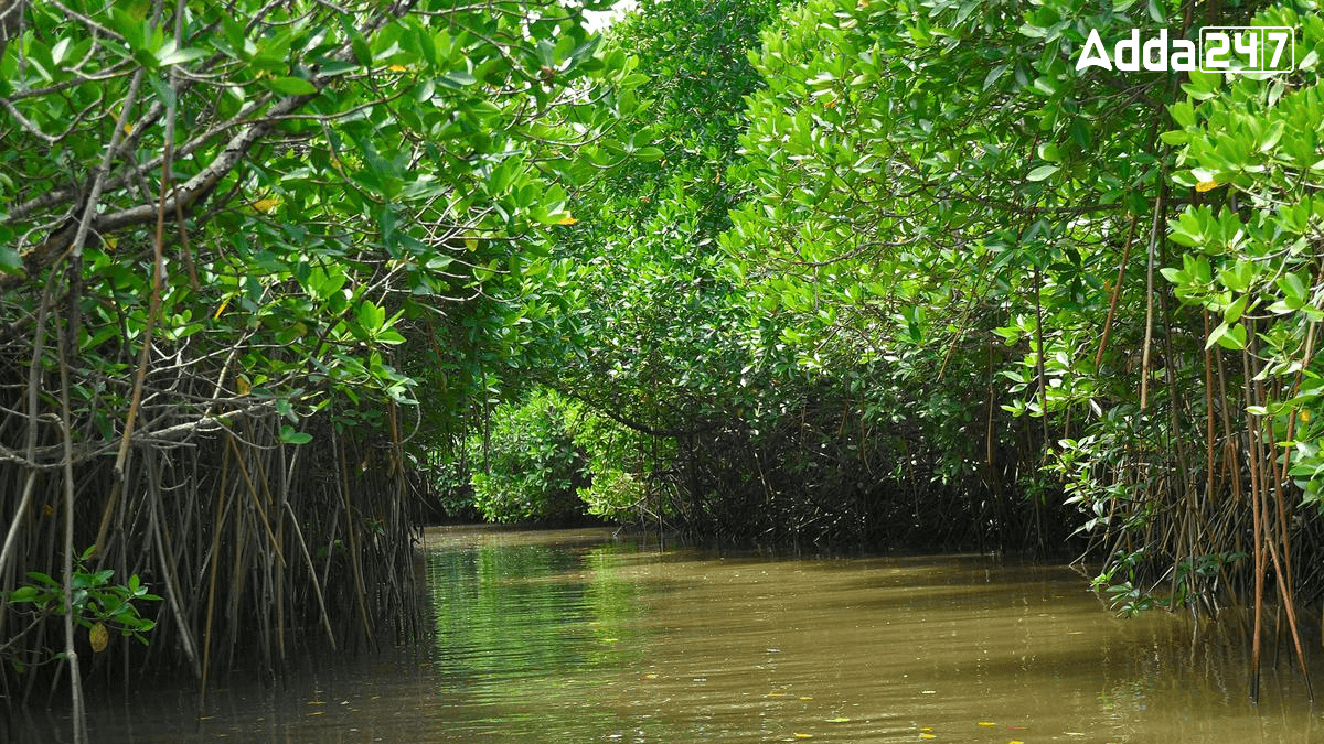 Ramsar Sites in India