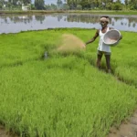 India-US Agricultural Exports