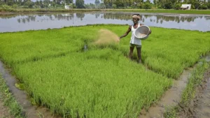 India-US Agricultural Exports