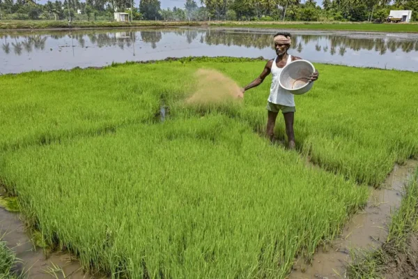 India-US Agricultural Exports