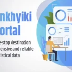 NSO MCP Server Launch