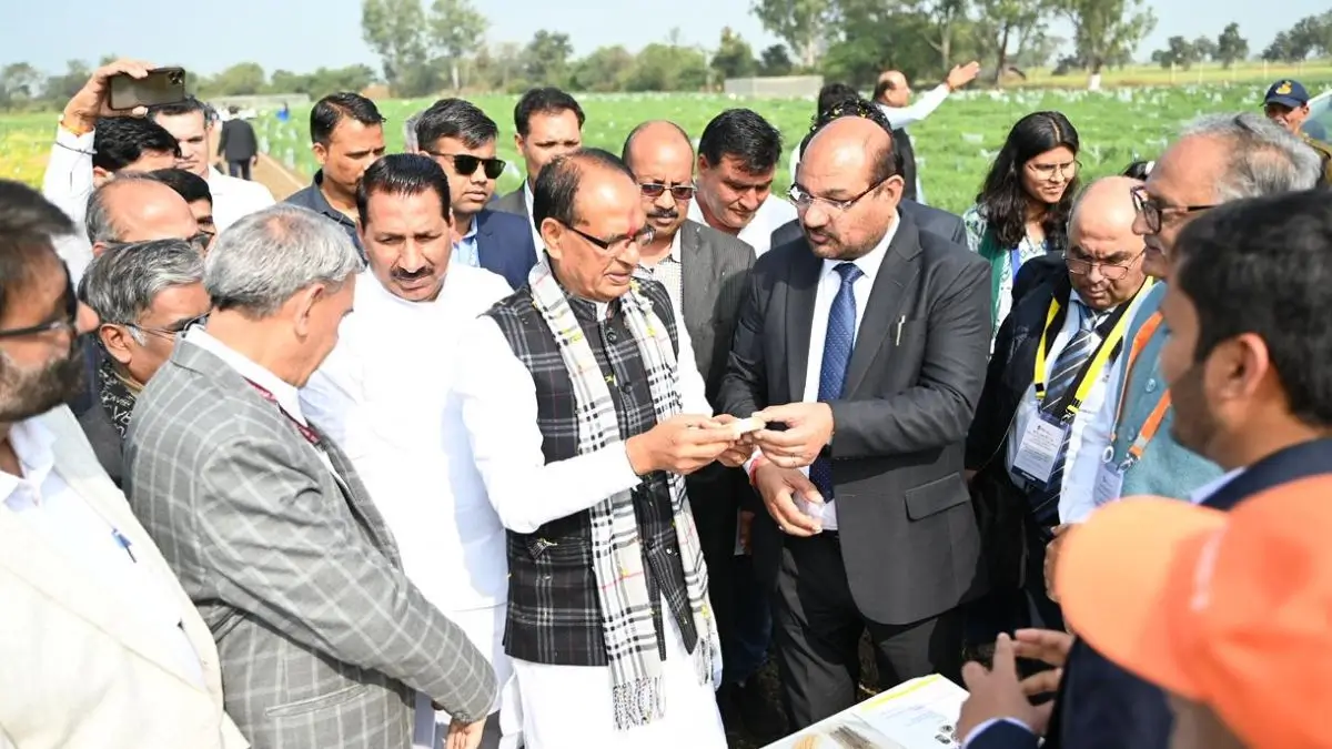 Nationwide Pulses Revolution in India