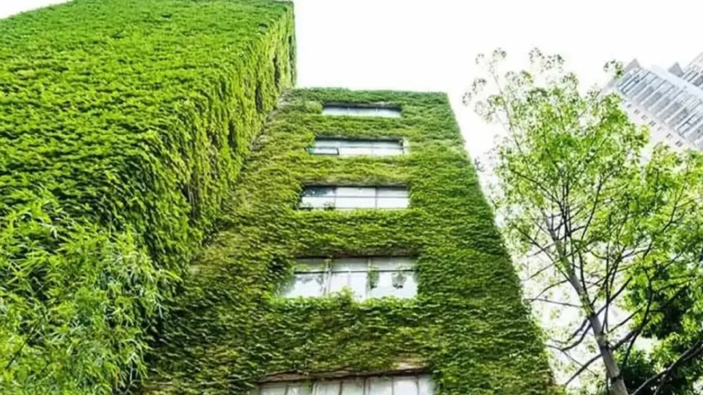 Green Real Estate in India