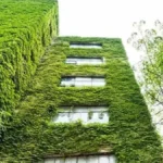 Green Real Estate in India
