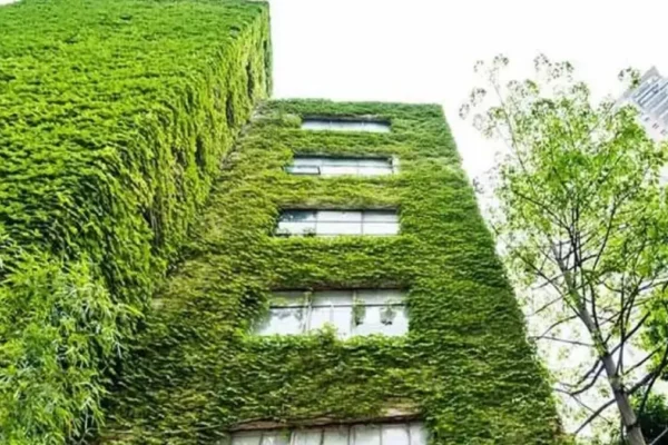 Green Real Estate in India