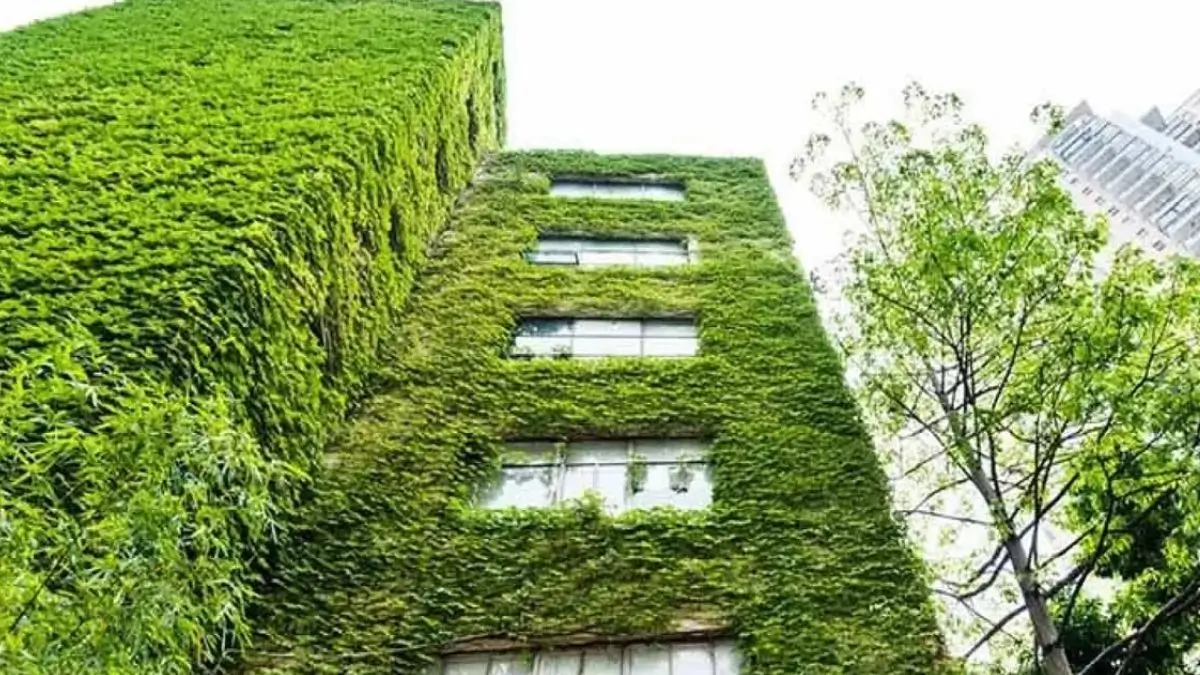 Green Real Estate in India