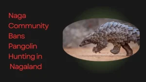 Pangolin Protection Nagaland