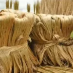 Slice Small Finance Bank MD