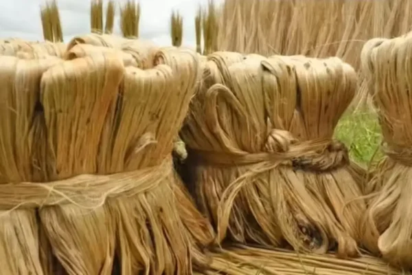 Slice Small Finance Bank MD