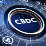 CBDC food subsidy pilot