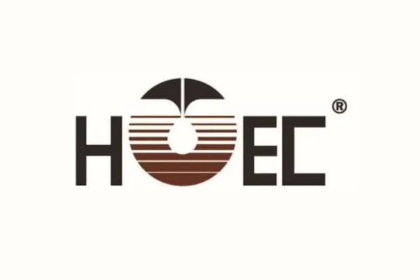 Hindustan Oil Exploration Company CEO Appointment