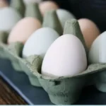 Saudi Arabia poultry import ban