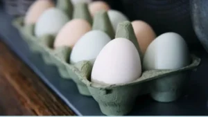 Saudi Arabia poultry import ban