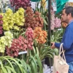 Indian Orchid Festival 2026