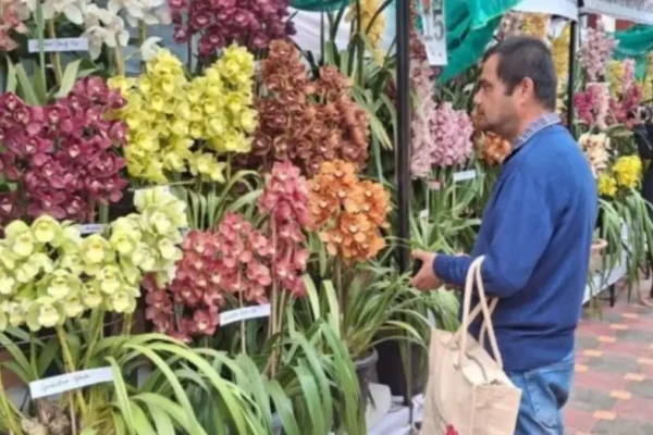 Indian Orchid Festival 2026
