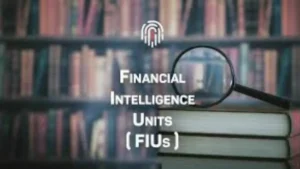 financial intelligence unit india role