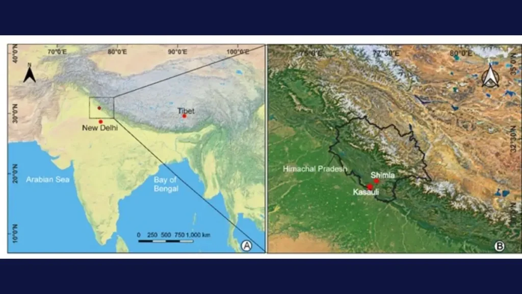 Jamun origin India study