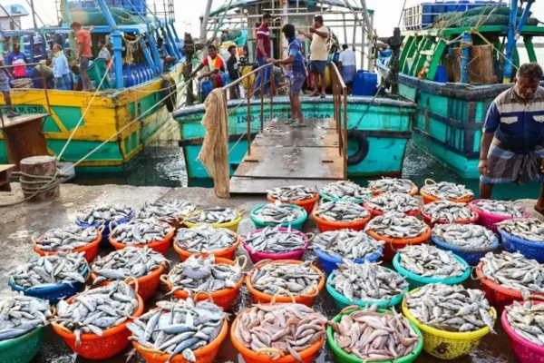 India seafood exports 2025