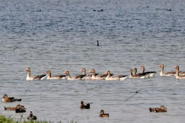 Shekha Jheel Ramsar site