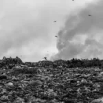 Methane Emissions from Landfills