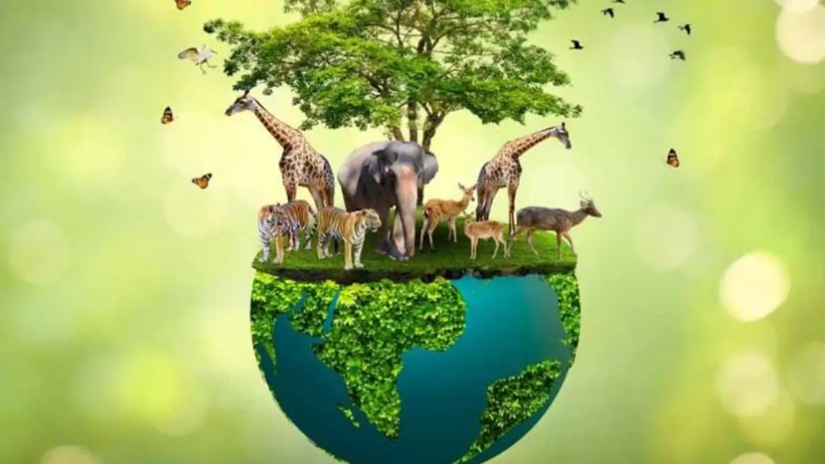 India biodiversity project