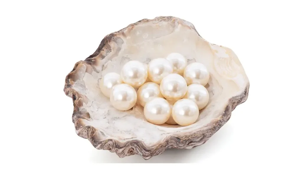 Hazaribag pearl farming cluster India