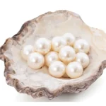 Hazaribag pearl farming cluster India