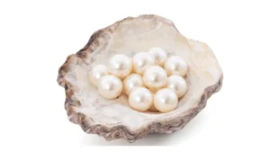 Hazaribag pearl farming cluster India