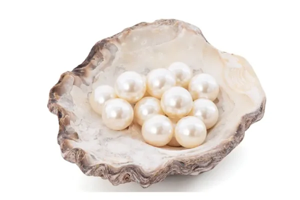 Hazaribag pearl farming cluster India