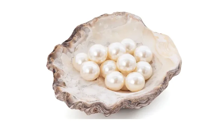 Hazaribag Pearl Farming Cluster India: First Inland Pearl Hub Under PMMSY Boosts Blue Economy Growth
